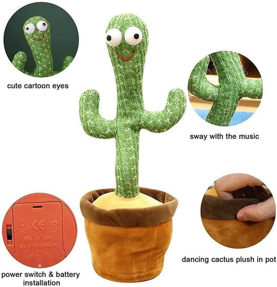 Dancing Cactus