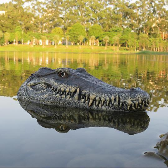Limitowana edycja RC Crocodile