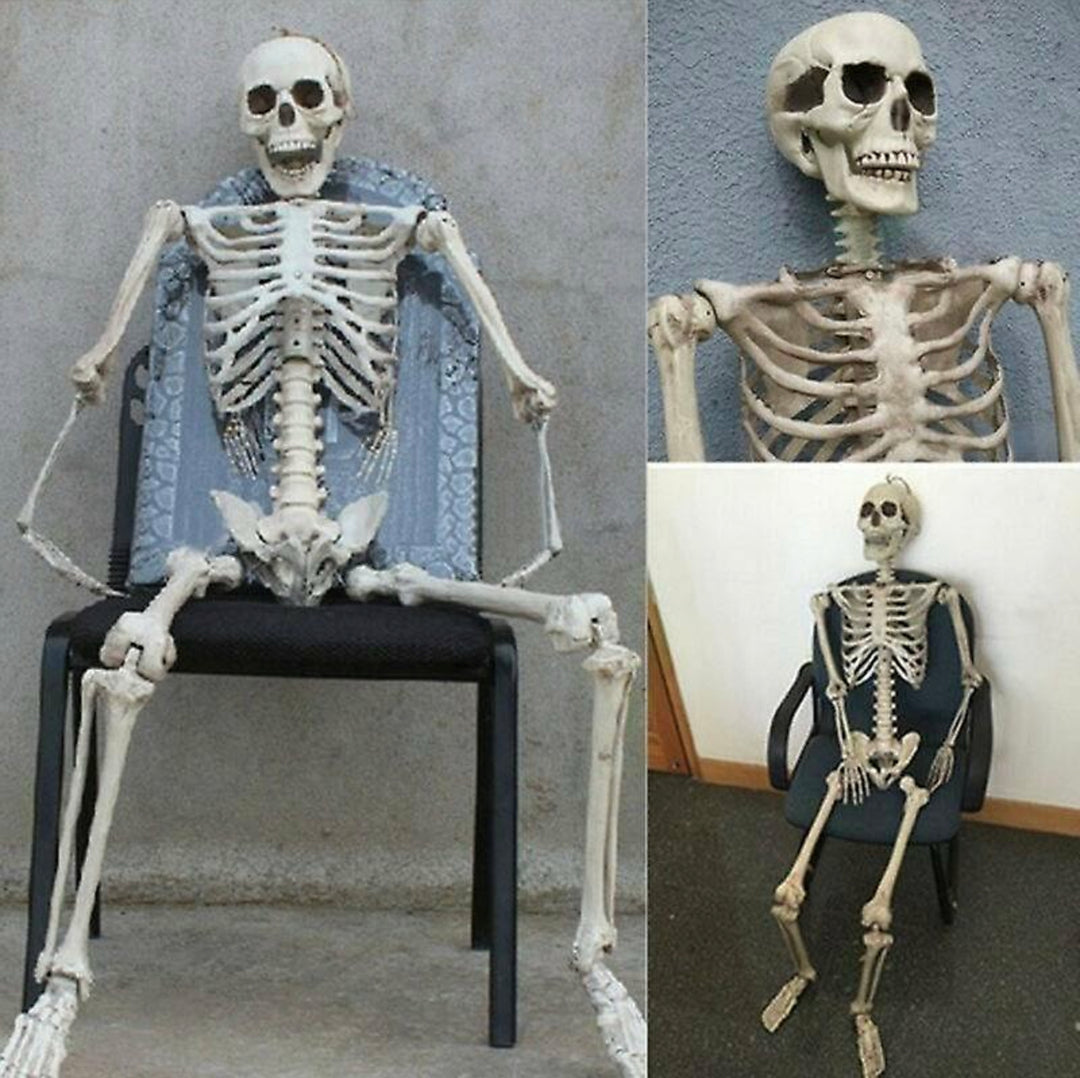 Realistic Halloween Skeleton