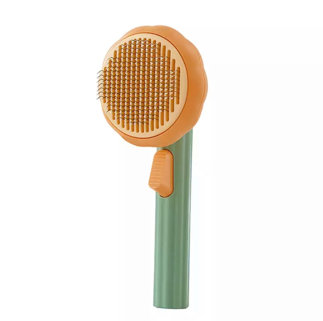 Pumpkin Pet Brush
