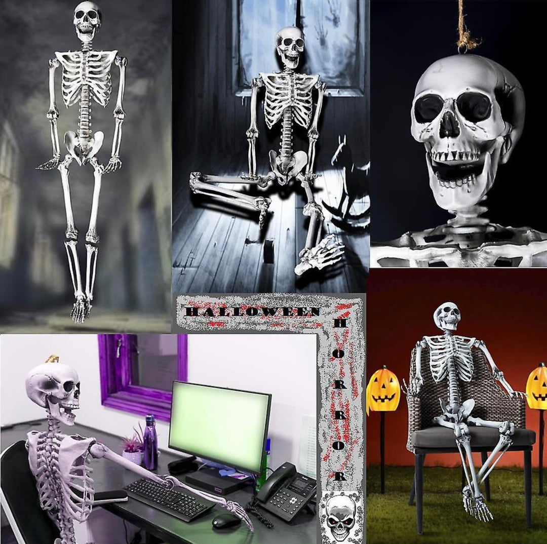 Realistic Halloween Skeleton