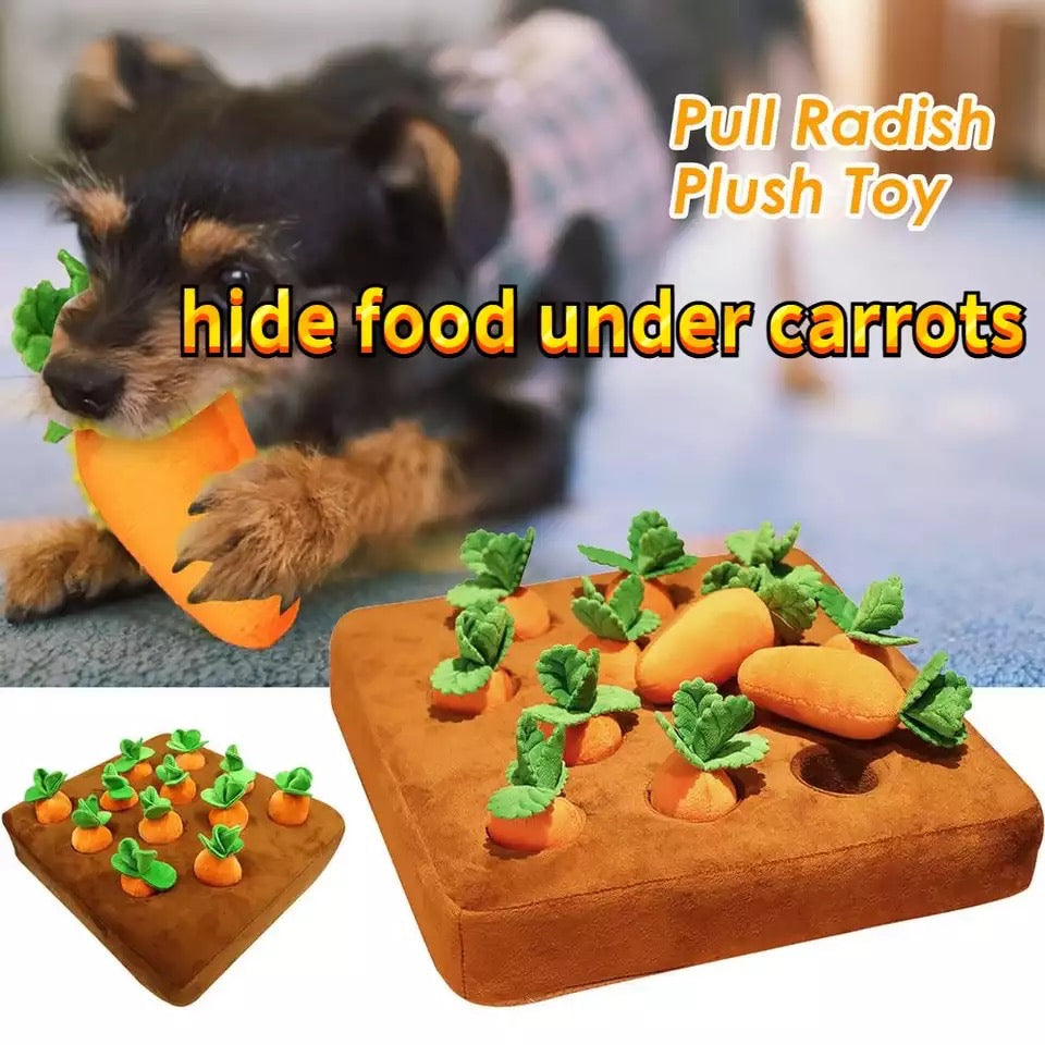 Carrot Farm